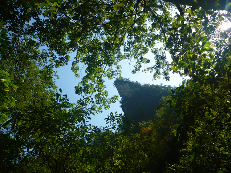 p1160926_.jpg