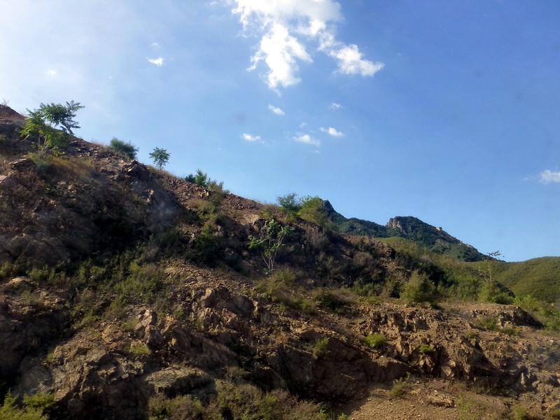 p1120733.jpg