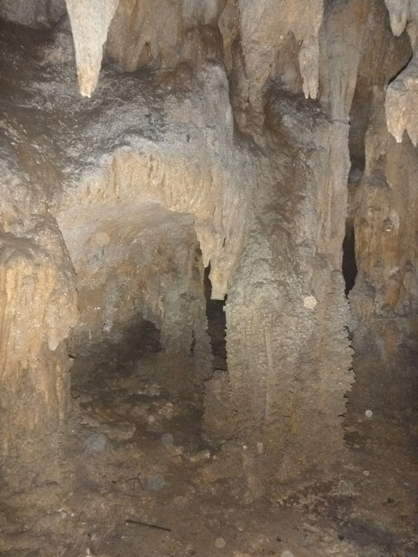 p1160965_.jpg