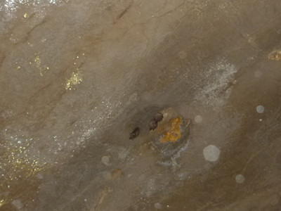 p1160977_.jpg