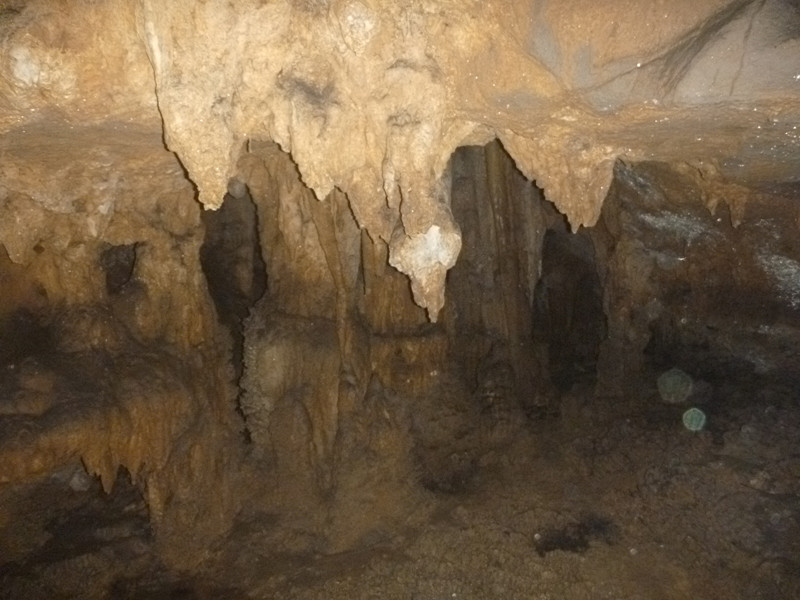 p1160974_.jpg