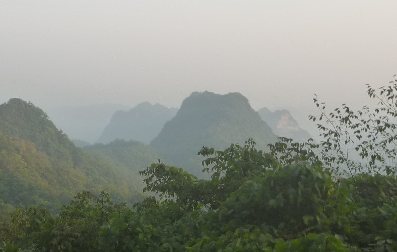 p1160993_.jpg
