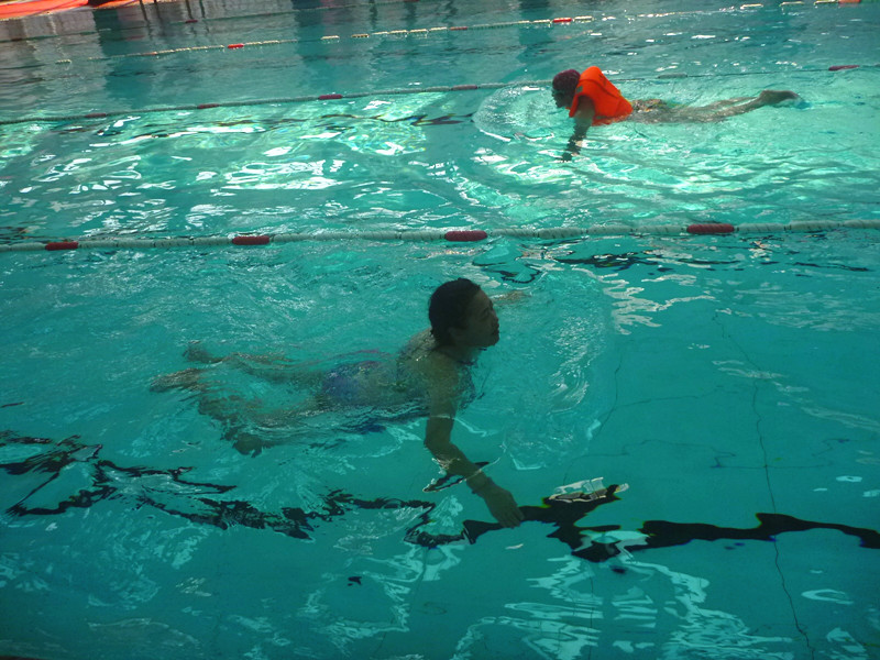p1170043_.jpg