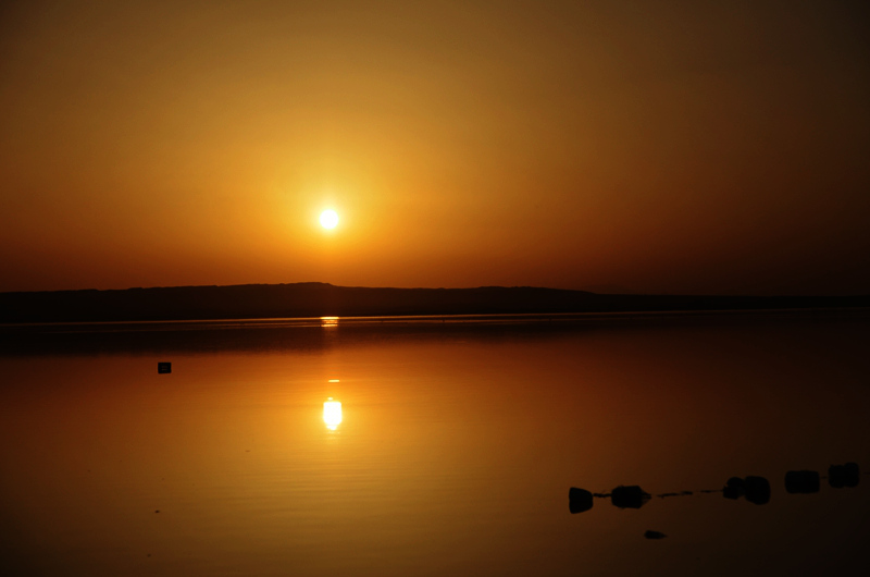 dsc_52680146.jpg