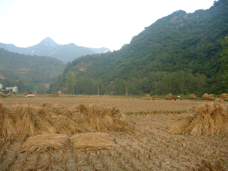 p1170067_.jpg