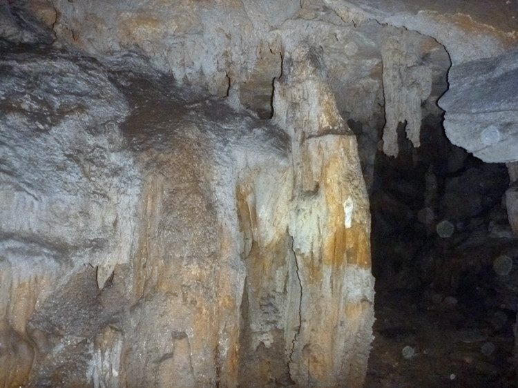 p1160958_.jpg