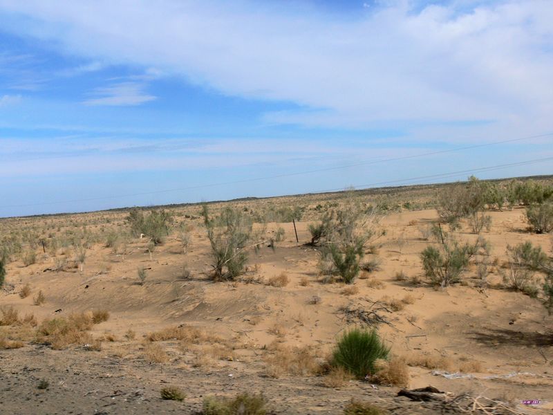 p1280190.jpg