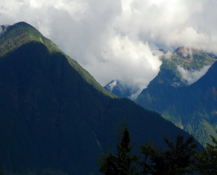 dsc_0437.jpg