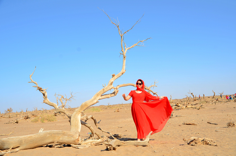 dsc_54730321.jpg
