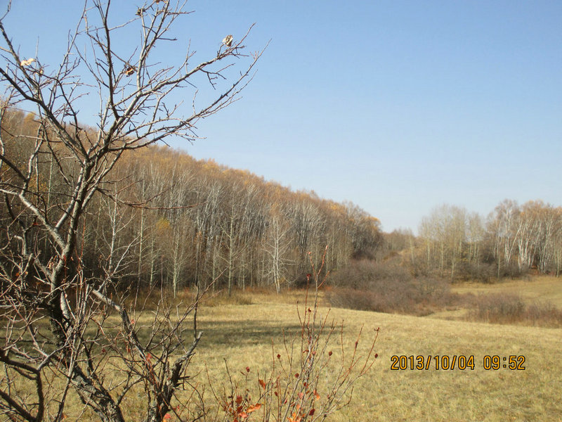  419.jpg