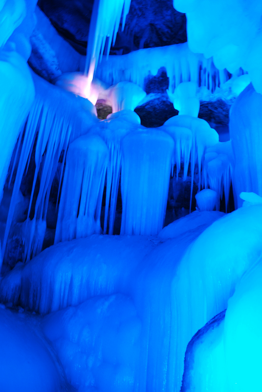 dsc_0004.jpg