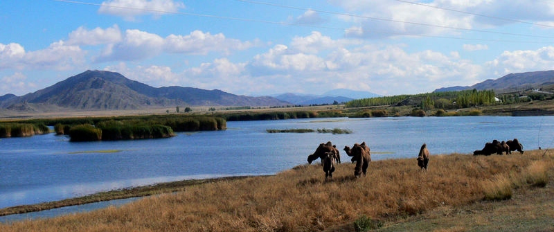 p1280428_Ӱ_1.jpg
