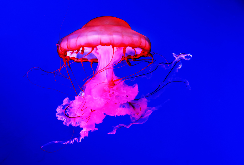 6u0b5441.jpg