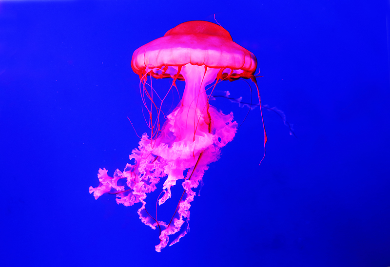 6u0b5447.jpg
