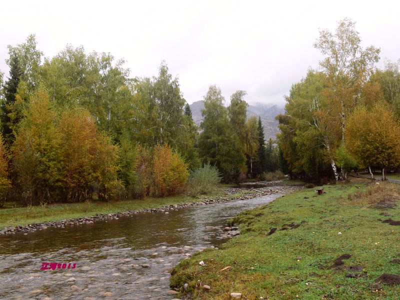 p1280255_光影_1.jpg