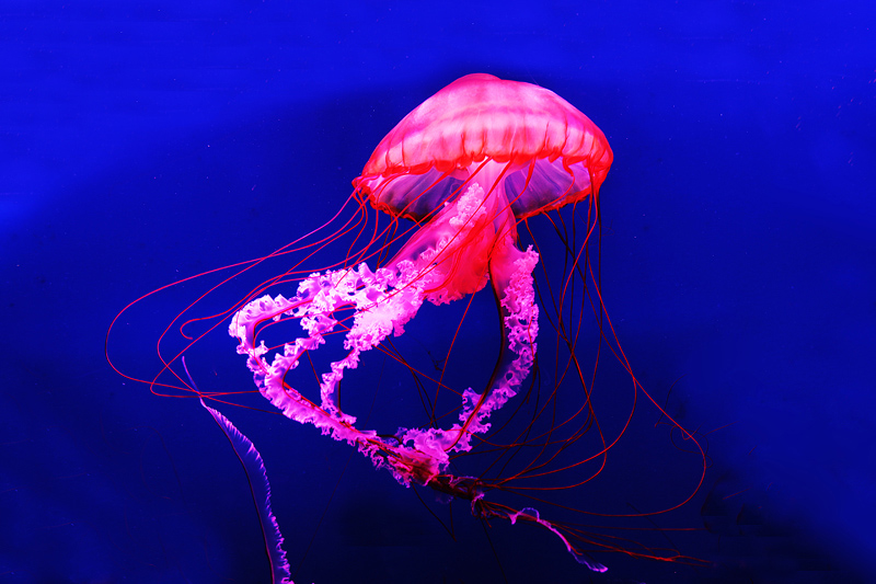 6u0b5689.jpg
