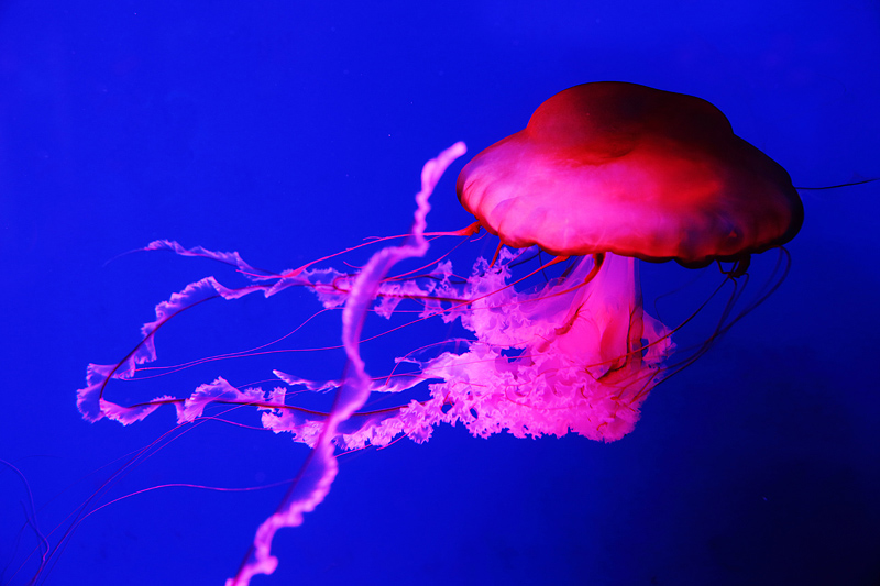 6u0b5710.jpg