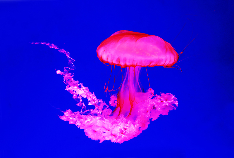 6u0b5784.jpg