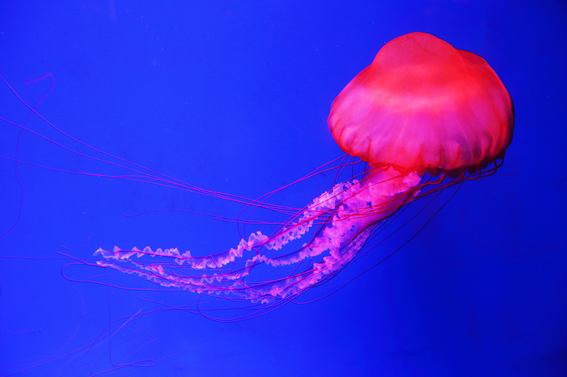 6u0b5826.jpg