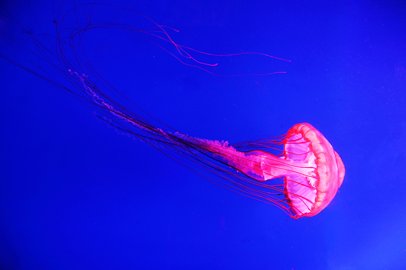 6u0b5795.jpg