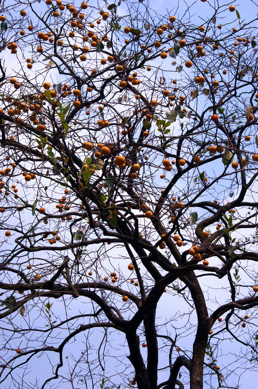 pict0022_.jpg