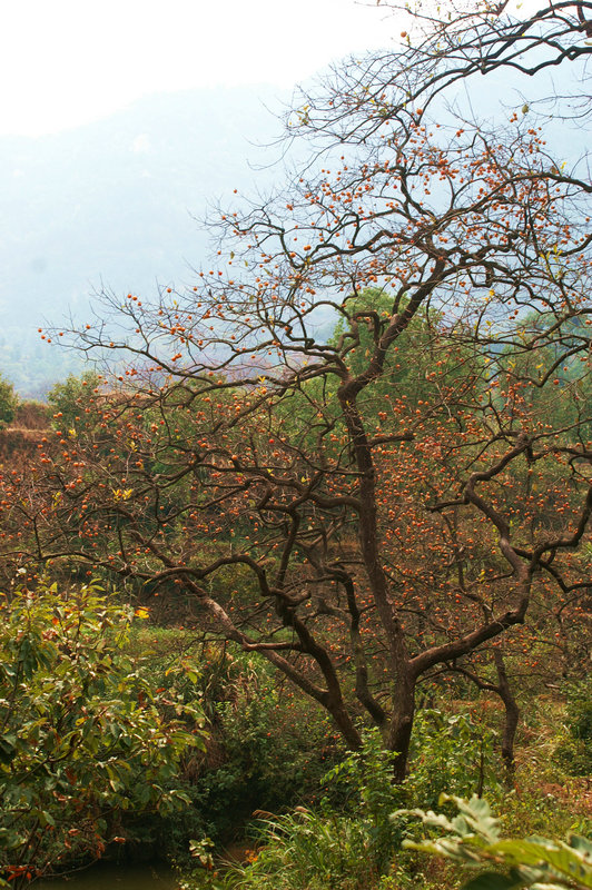 pict0027_.jpg