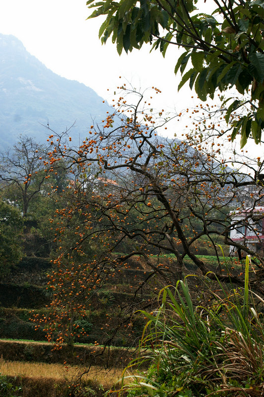 pict0033_.jpg