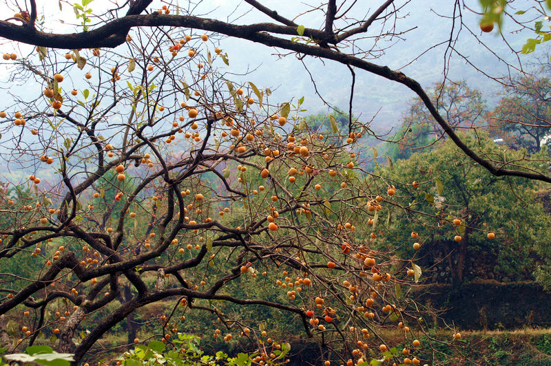 pict0035_2.jpg