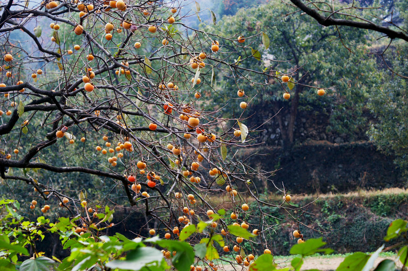 pict0036_1.jpg