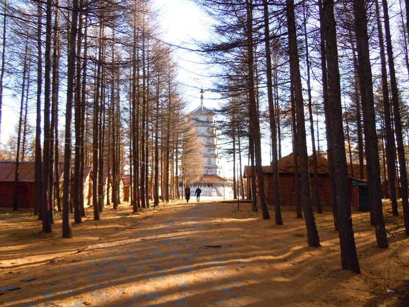 dscn7998.jpg