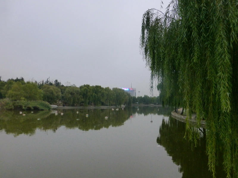p1130436.jpg