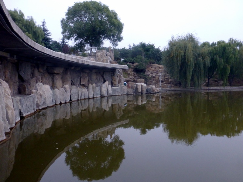 p1130441.jpg