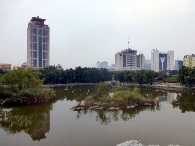 p1130442.jpg
