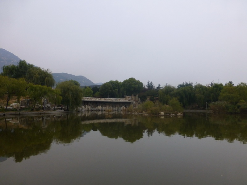 p1130437.jpg
