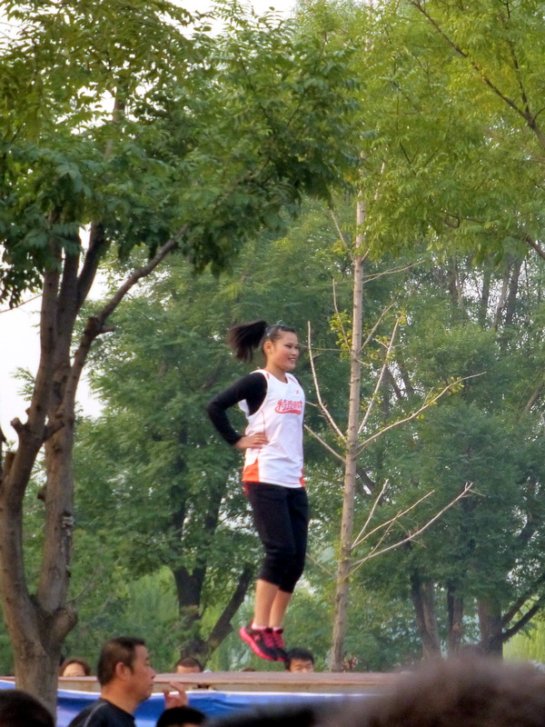 p1130066.jpg