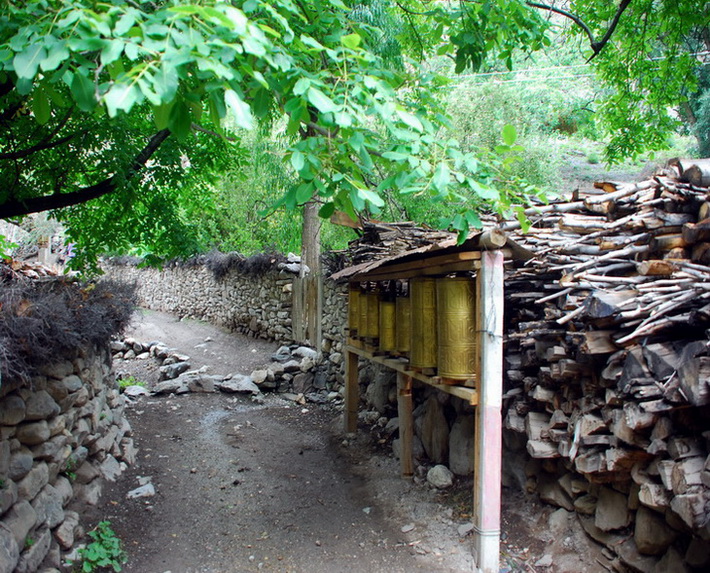 dsc_0531.jpg