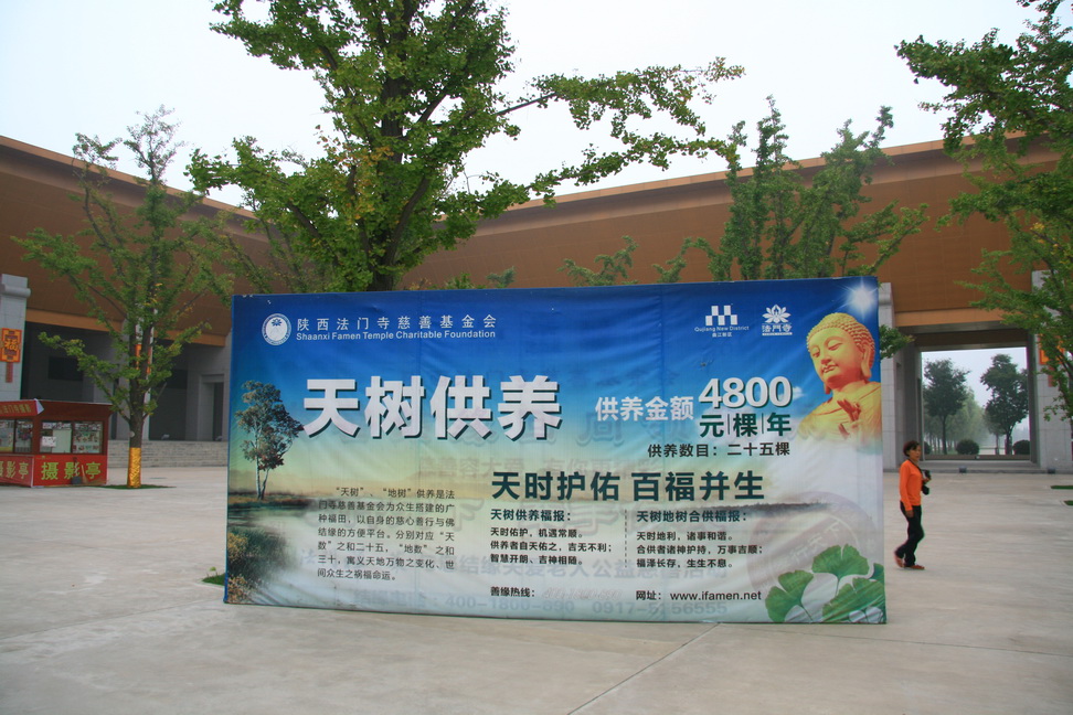 2626.jpg