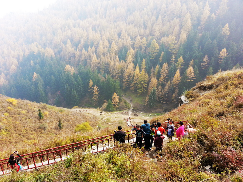 20131006_141042.jpg