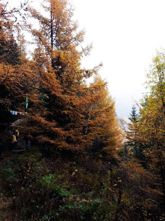20131006_145034.jpg