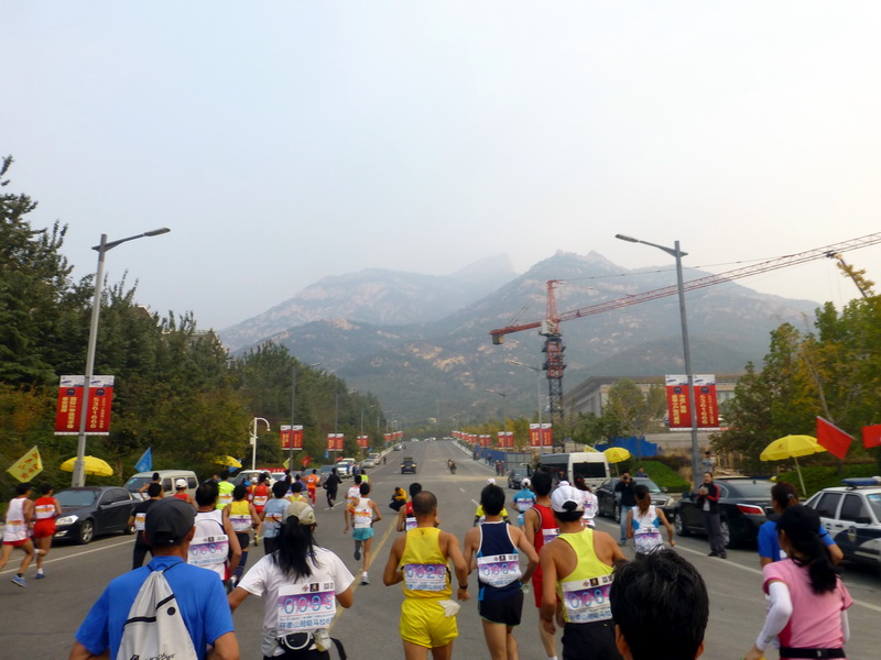 p1130493.jpg