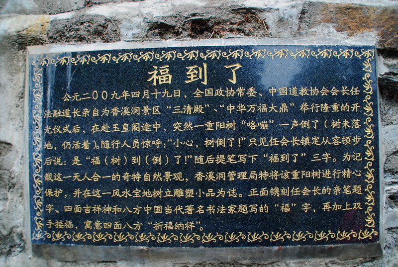 dsc_0779.jpg