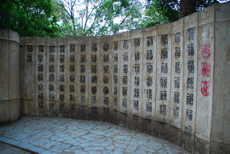 dsc_0786.jpg