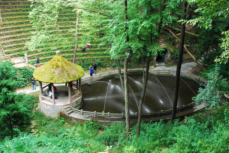 dsc_0811.jpg