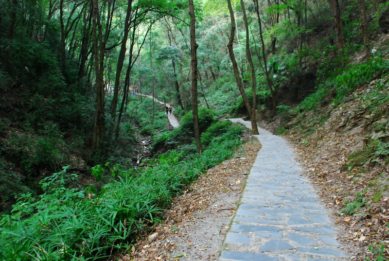 dsc_0815.jpg