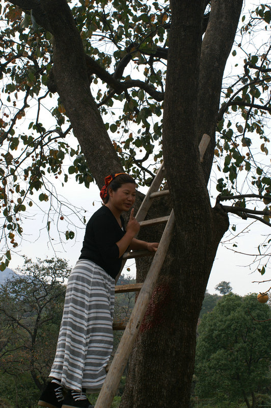 pict0102_.jpg