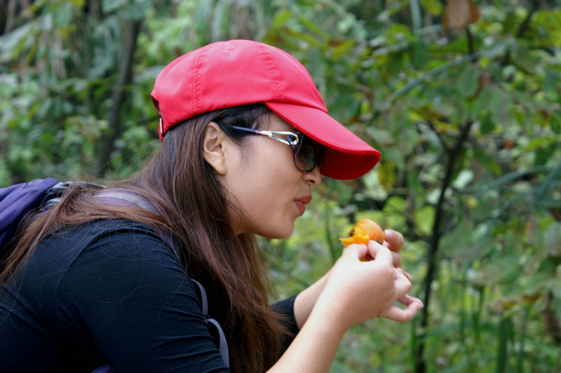 pict0131_1_.jpg