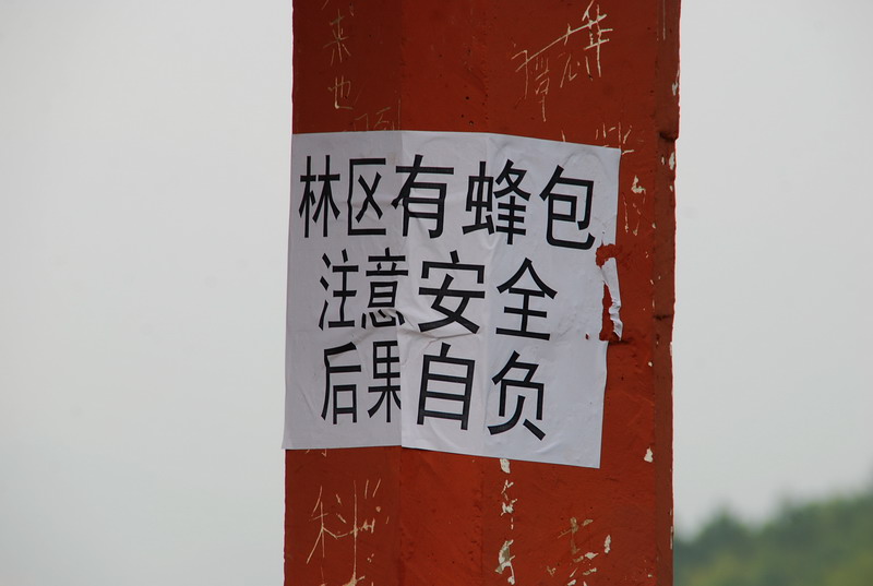 dsc_0867.jpg