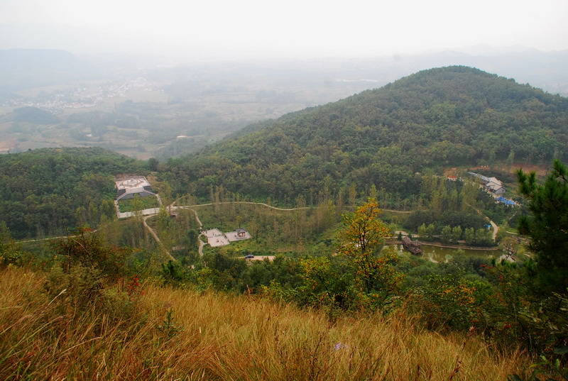 dsc_0856.jpg