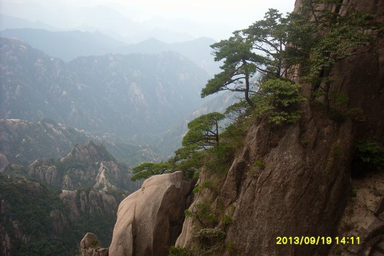 sl384525.jpg