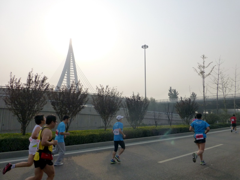 p1130105.jpg